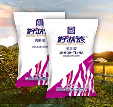 ������̼16-6-30+TE+HA-�à�B(t��i)-�r(n��ng)��