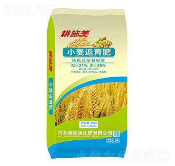 С�������-��ʩ��