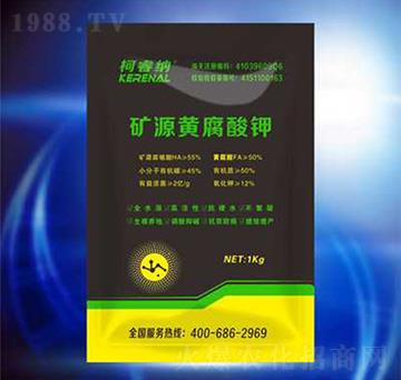 �VԴ�S�����-��{