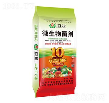 10�|΢�������-�ٻ�����