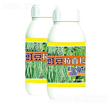 豇豆拉直長(zhǎng) 植生堂 萊利生物