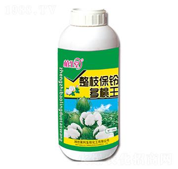 ��֧��⏶����� ֲ���� �R������