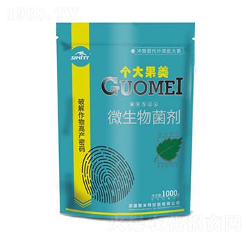 1000g΢������� ��(g��)����� ˹����