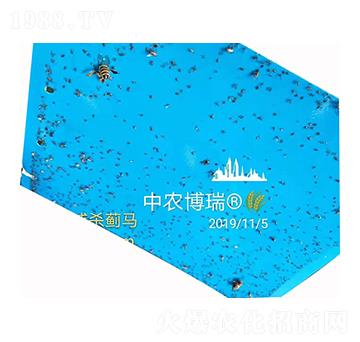 ���T(m��n)�����E�R ���r(n��ng)����