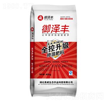 �������31-10-10 �����S �������B(t��i)