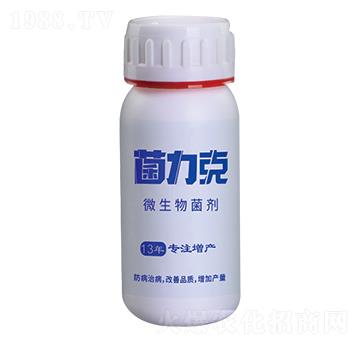 ΢������� ������ ����