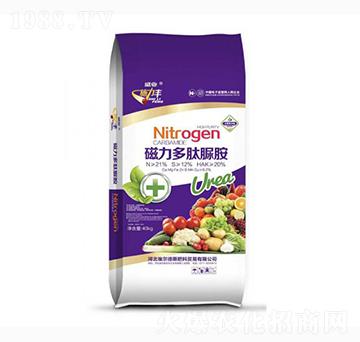 磁力多肽脲胺-施力豐-盛業(yè)