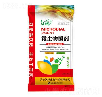 ΢������� ��������