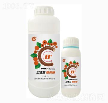 �Ǵ���-����m-��ؾG