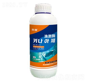 �O��ø-�n�ԣ��{(l��n)ƿ��-����