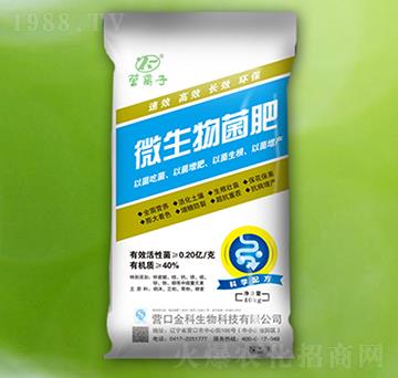 ΢������ʣ�2�|��-�I(y��ng)�x��-�������