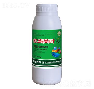 ΢�������-���~A-�P