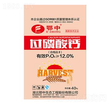 40kg�^�����}-�������B(t��i)