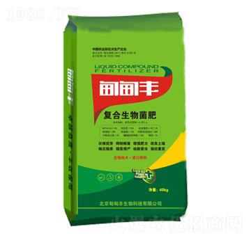 �ͺ��������-����S