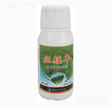 韭菜專用含氨基酸水溶肥料-韭矮豐-中天肥業(yè)