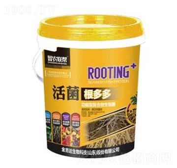 活菌根多多-金吉達(dá)