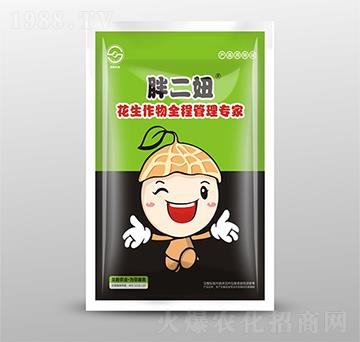 袋裝花生作物全程管理專家-胖二妞-圣勤農業(yè)
