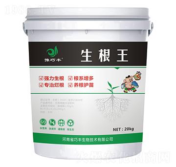 功能型肥料-生根王-豫巧豐