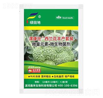 ���m���S�a�ײ�-�𿵉�