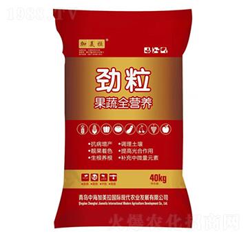 �����w����-������