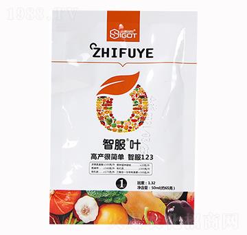 �Ƿ��~-ِ����