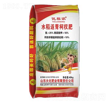 水稻返青肥柯杈肥-大化肥業(yè)