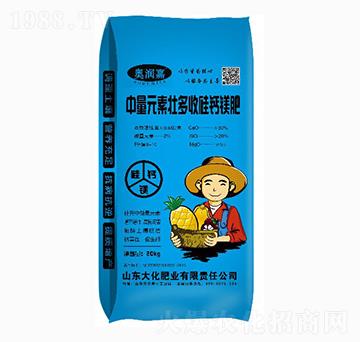 中量元素壯多收硅鈣鎂肥-大化肥業(yè)
