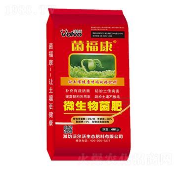 ΢�������-������-������