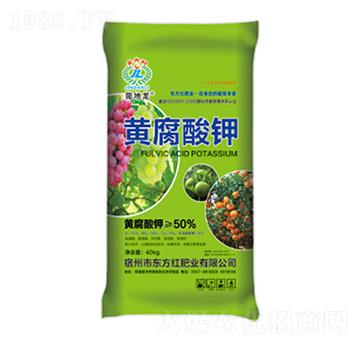 50%�S�����-�����