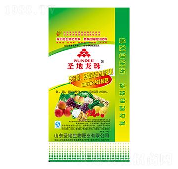 60%�߷��ӻ��Ծ���-ʥ������-ʥ��