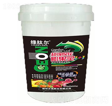 ��������`-�G�Ġ�-��