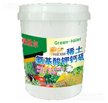 ϡ����������}��-����