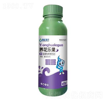 生理病害防治-養(yǎng)花樂果-國正易農(nóng)