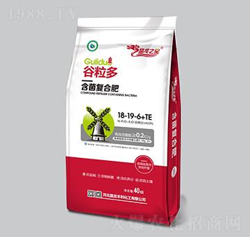 ������(f��)�Ϸ�18-19-