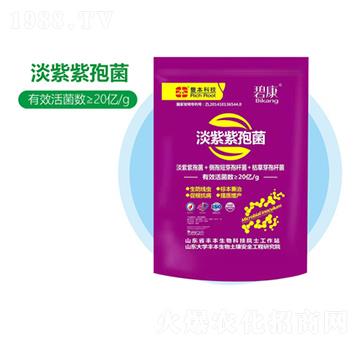 淡紫紫孢菌-豐本生物