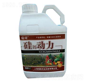 ���}����-����-�����r(n��ng)�I(y��)