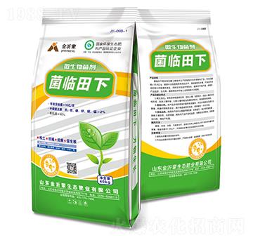 ΢�������-���R����-������