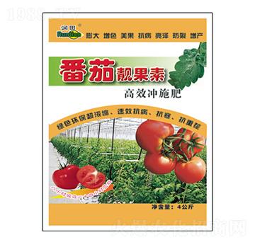 �����n����-�������