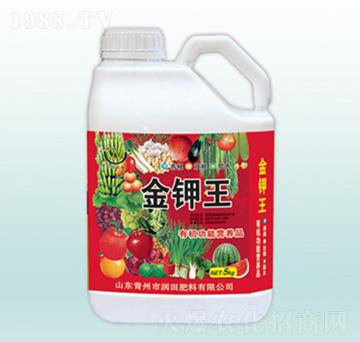 �����-�������