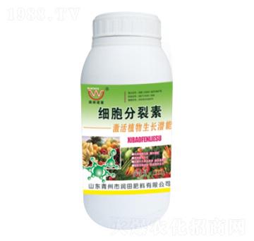 ƿ�b��(x��)��������-�����