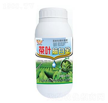 ���~�X�׽�-�������