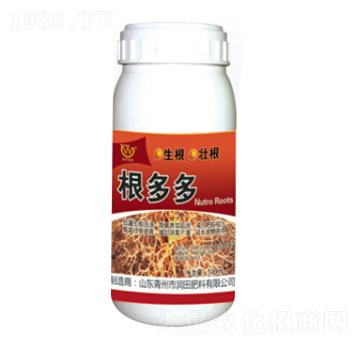 ������~���-�������