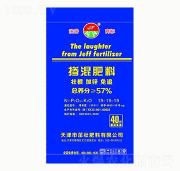 �������19-19-19-�ѷ���