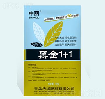 �ڽ�1+1�_ʩ��H-��