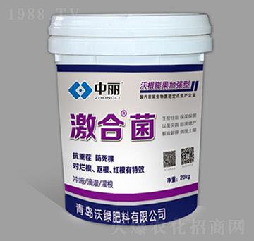 �ָ�����ӏ�(qi��ng)�ͼ��Ͼ�-