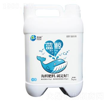 �{�L�����}�V-�儓(chu��ng)