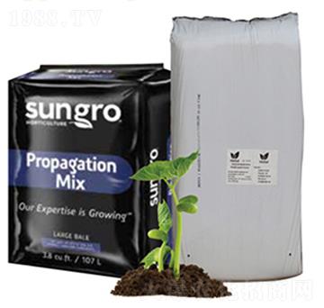 ���|(zh��)��̼-ꖹ��ǻ�