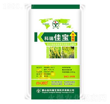 ����ь�-�����