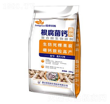 �������}3̖-�����