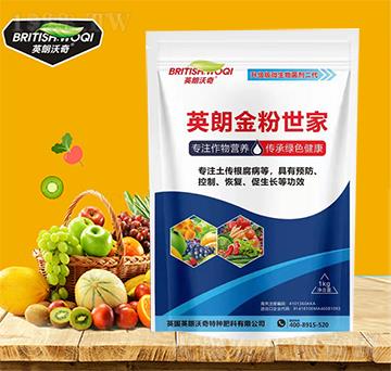 ΢�������-Ӣ������